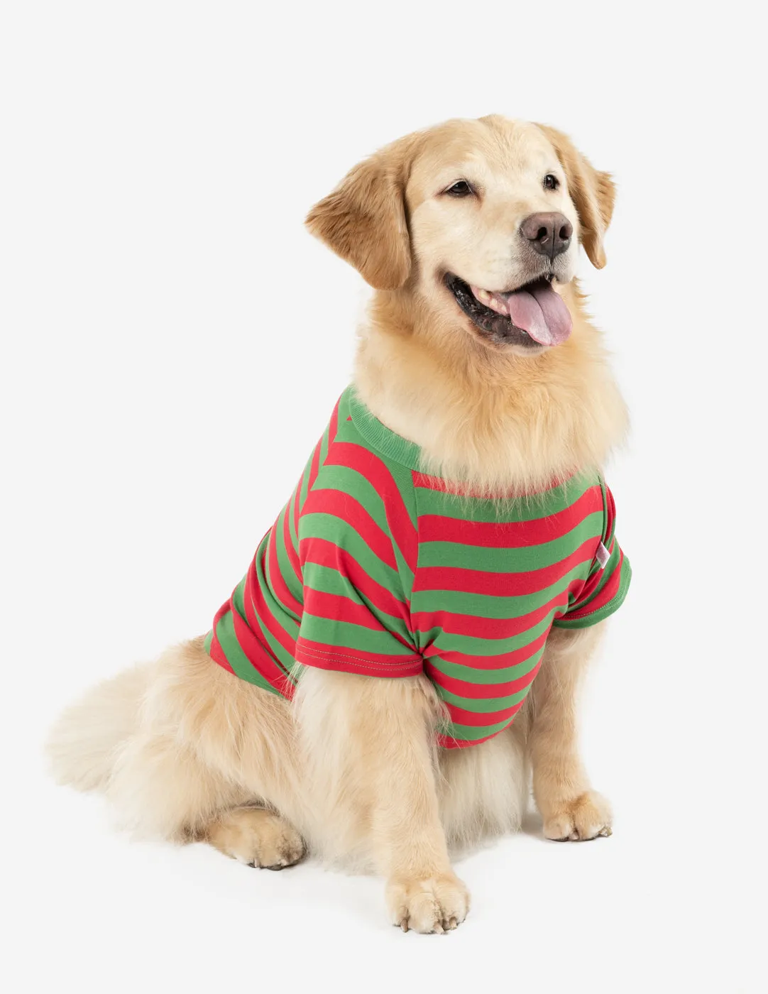 Big Dog Red & Green Stripes Pajamas