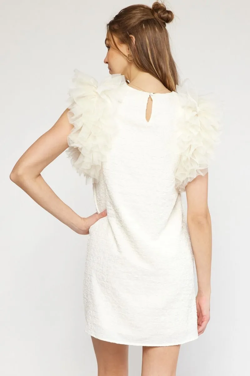 Tulle Puff Cream Textured Dress