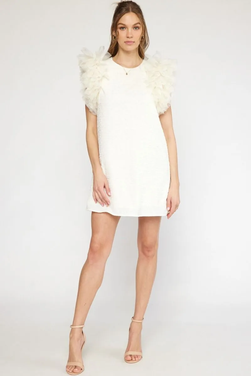 Tulle Puff Cream Textured Dress